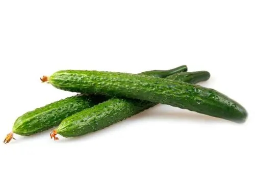 養(yǎng)生護肝不可少的12種蔬菜-深圳市祥瑞餐飲管理有限公司